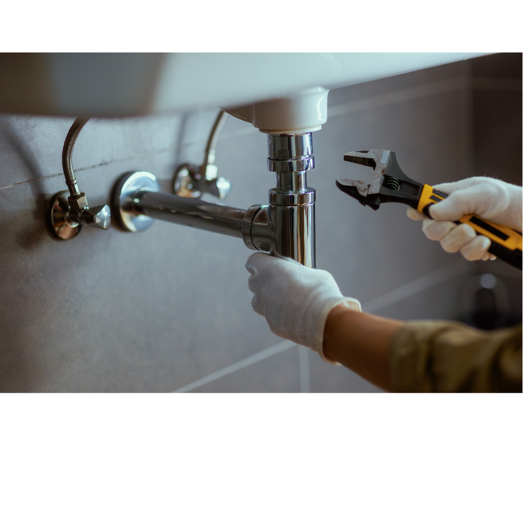plumbers annlin